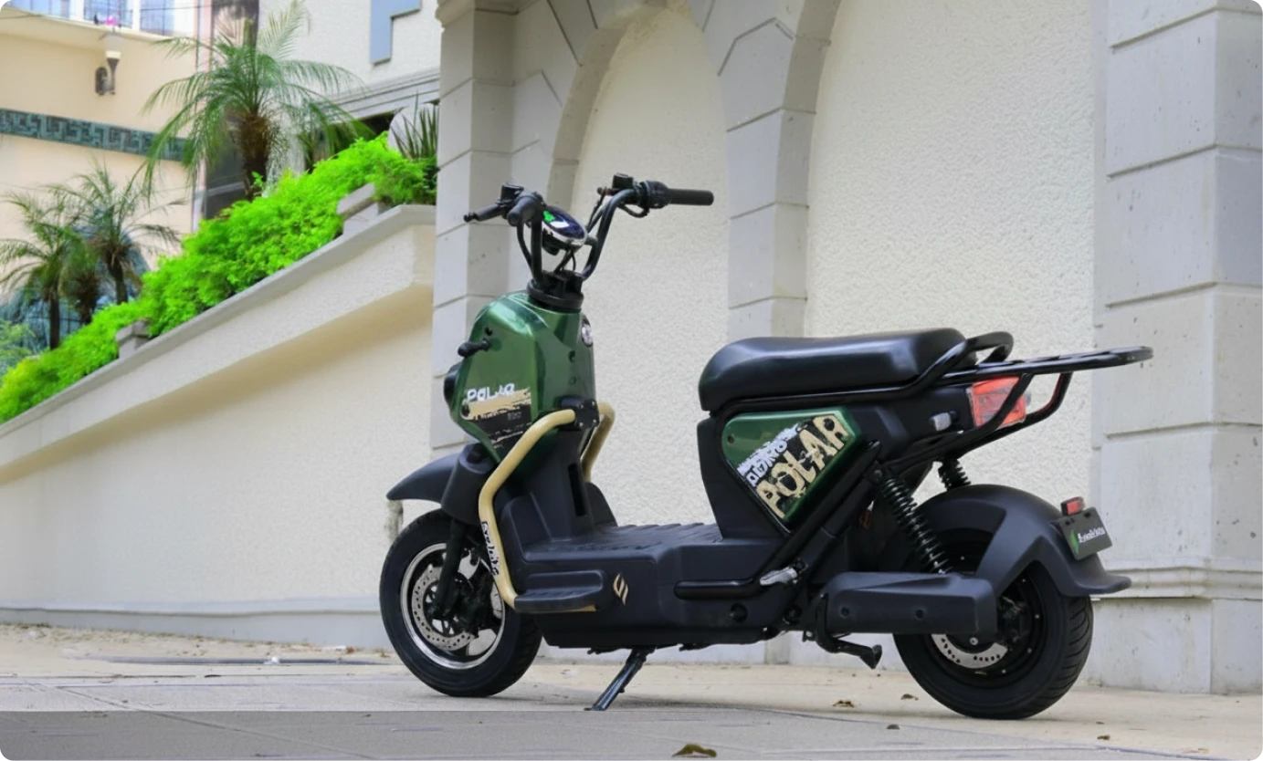 Bicicleta electrica Polar